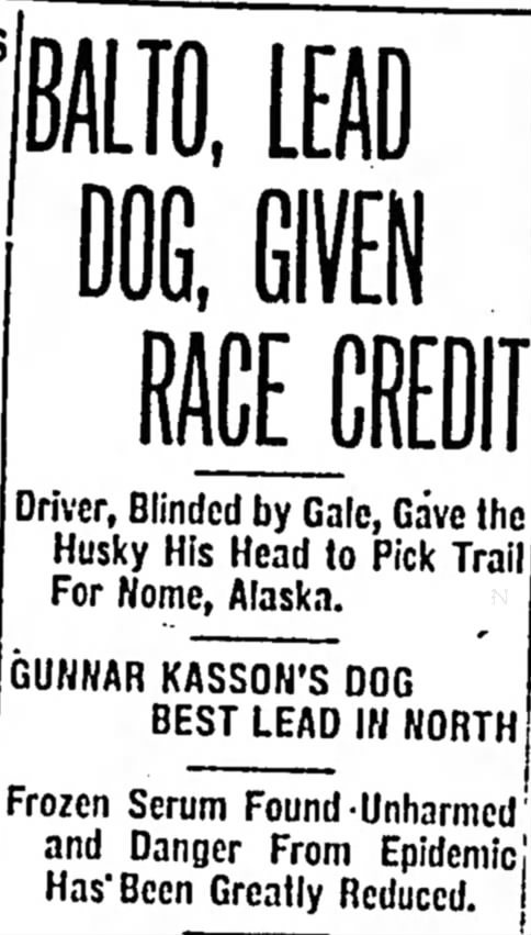 A clip of a headline from the Dunkirk Evening Observer in New York. It reads "Balto, Lead Dog, Given Race Credit. Driver, Blinded by Gale, Gave the Husky His Head to Pick Trail for Nome, Alaska. Gunnar Kaasen's Dog Best Lead in North. Frozen Serum Found Unharmed and Danger From Epidemic Has Been Greatly Reduced." The article is from February 3, 1925.