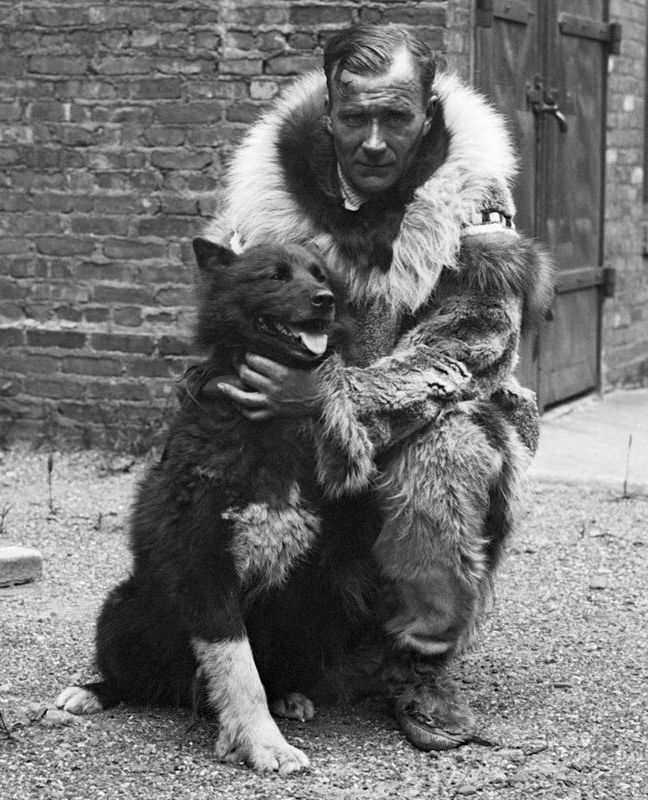 Dog sled musher Gunnar Kaasen kneels next to Balto, the Siberian Huskey that led his team during the 1925 Serum Run. Kaasen is dressed in heavy furs and he holds Balto while looking into the camera.