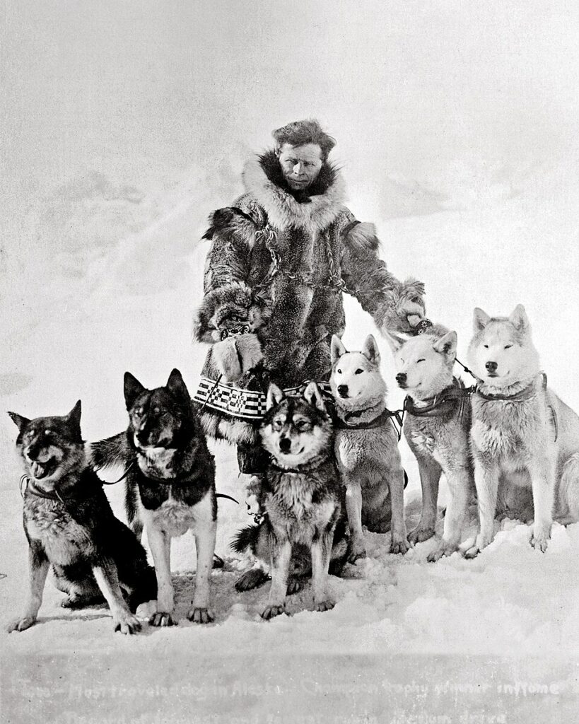 Norwegian musher Leonhard Seppala stands wrapped in heavy furs against a backdrop of snow. In front of him sit six Siberian Huskies that made up his dog sled team. The image dates from around 1924 or 1925.
